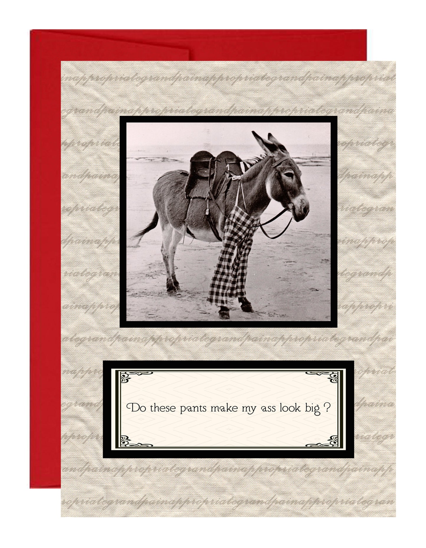 Do These Pants Make My Ass Look Big ?