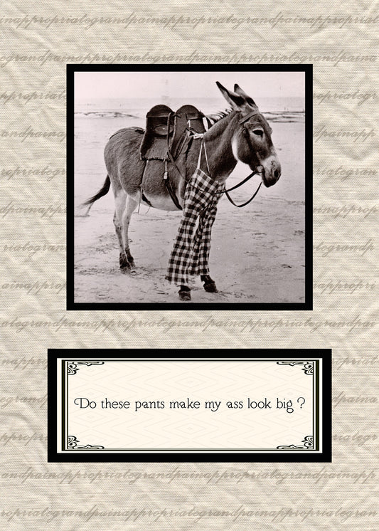 Do These Pants Make My Ass Look Big ?